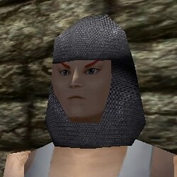 File:Chainmail Coif Live.jpg