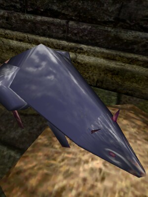 File:Large Silver Rat Live.jpg