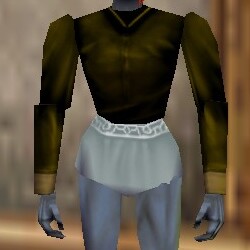 File:Poet's Shirt Berimphur Live.jpg