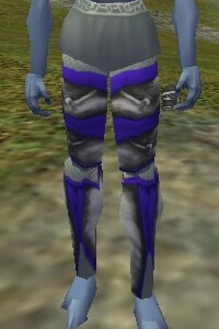 File:Auroric Exarch Leggings Blue Live.jpg