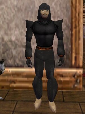 File:Leather Armor (Store) Thananim Live.jpg