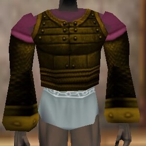File:Amuli Coat (Infiltrator Master) Berimphur Live.jpg
