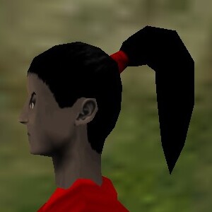 File:Haircut Dark 5 Texture Live.jpg