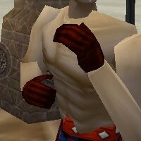 File:Noble Gauntlets Hennacin Live.jpg