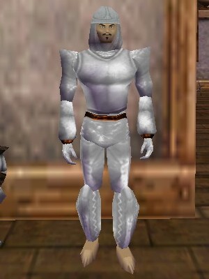 File:Leather Armor (Store) Argenory Live.jpg