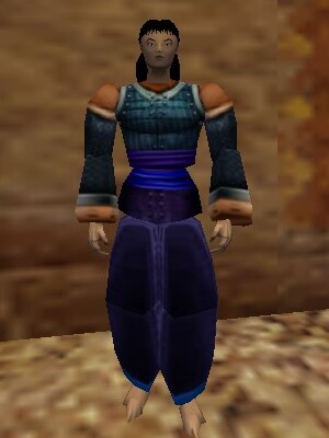 File:Gromnie Hide Amuli Set Live.jpg