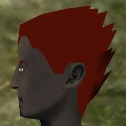 File:Haircut Skin 24 Live.jpg