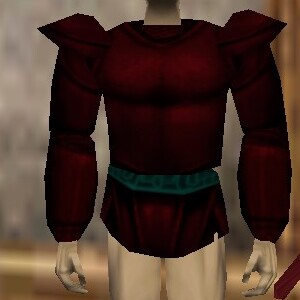 File:Platemail Hauberk of the Ogre Hennacin Live.jpg