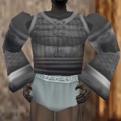 File:Heavy Gromnie Hide Coat Argenory Live.jpg