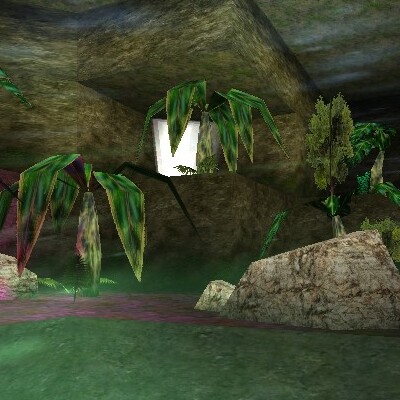 File:Jungle Shadows Drop Live.jpg