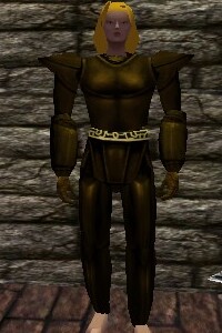 File:Platemail Armor Berimphur Live.jpg