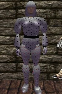 File:Studded Leather Armor Argenory Live.jpg