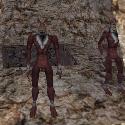 File:38.1N, 56.6E - Mite Cave Live 2.jpg