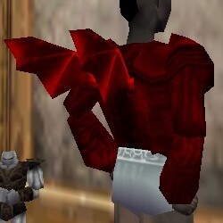 File:Dusky Winged Coat Hennacin Live.jpg