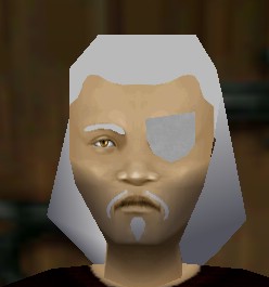 File:Eye Patch Argenory Live.jpg