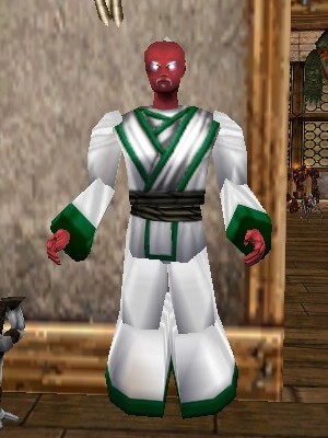 File:Pathwarden Robe (Sho) Argenory Live.jpg