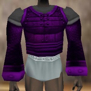 File:Amuli Coat (The Crafter) Relanim Live.jpg