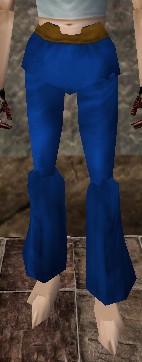 File:Viamontian Pants (Store) Dark Blue Live.jpg