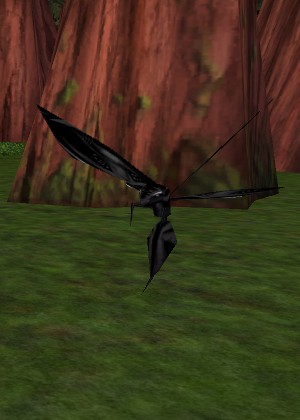 File:Black Phyntos Wasp Live.jpg
