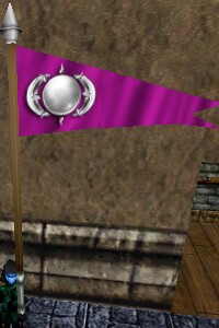 File:Homecoming Pennant (Pink) Live.jpg
