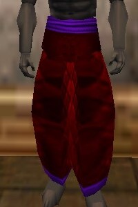 File:Amuli Leggings (The Crafter) Hennacin Live.jpg