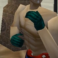 File:Noble Gauntlets Lapyan Live.jpg