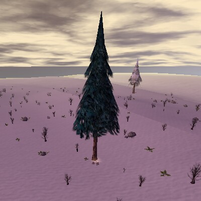 File:53.1S, 37.8E - Abandoned Campsite Live 2.jpg