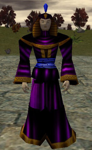 File:Empyrean Over-Robe Purple.jpg