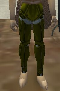 File:Noble Leggings Berimphur Live.jpg