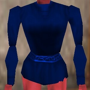 File:Seasoned Explorer Shirt Colban Live.jpg