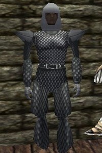 File:Scalemail Armor Argenory Live.jpg