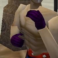 File:Noble Gauntlets Relanim Live.jpg