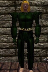 File:Platemail Armor Verdalim Live.jpg