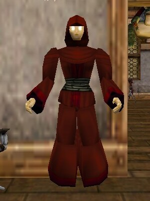 File:Pathwarden Robe (Aluvian) Hennacin Live.jpg