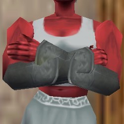 File:Amateur Explorer Vambraces Argenory Live.jpg