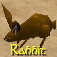 File:Rabbit Exemplar.jpg