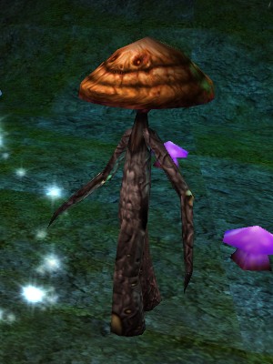 File:Porcini Thrungus Live.jpg