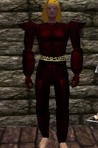 File:Platemail Armor Hennacin Live.jpg