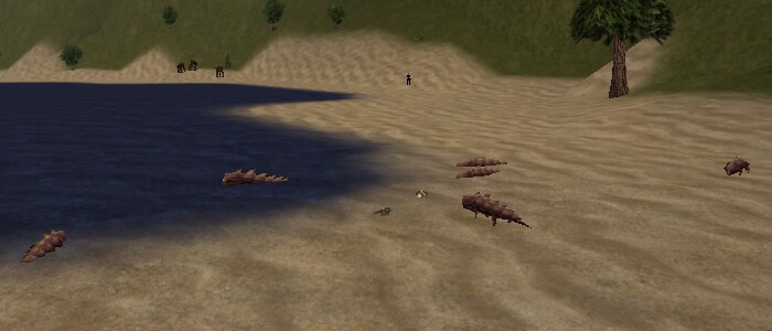 File:83.4S, 48.3W - Armoredillo Cove Live.jpg
