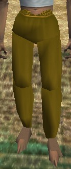 File:Baggy Pants (Dark Yellow) Live.jpg