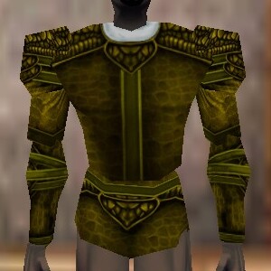 File:Armoredillo Hide Coat Berimphur Live.jpg