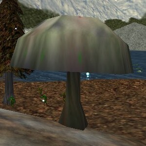 File:66.1N, 13.9E - Giant Mushroom Live.jpg