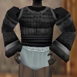 File:Heavy Gromnie Hide Coat Thananim Live.jpg