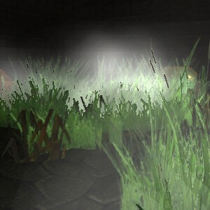 File:Cursed Swamp 2 Live.jpg
