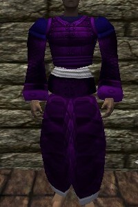 File:Amuli Armor Relanim Live.jpg