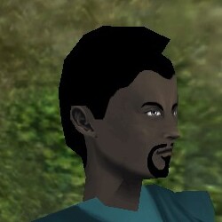 File:Haircut Skin 12 Live.jpg