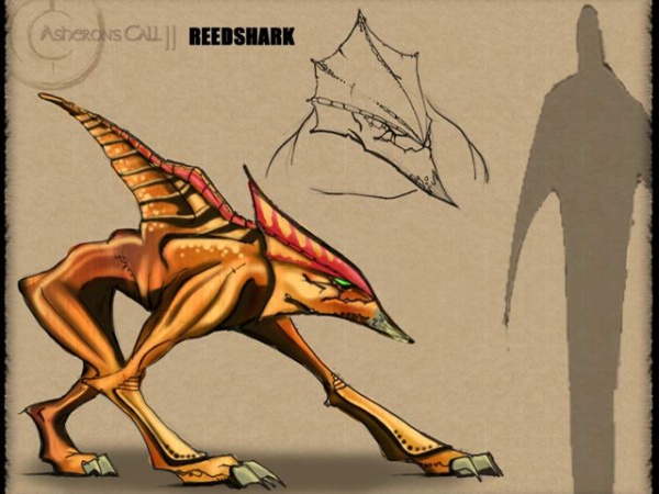 File:AC2 Reedshark Art.jpg