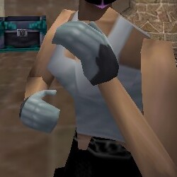 File:Sedgemail Leather Gauntlets Live.jpg