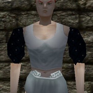 File:Studded Leather Pauldrons Live.jpg
