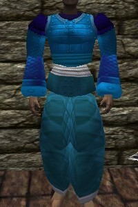 File:Amuli Armor Lapyan Live.jpg